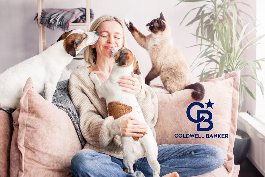 tienes-mascotas-tranformar-hogar-pet-friendly-coldwell-banker-mexico