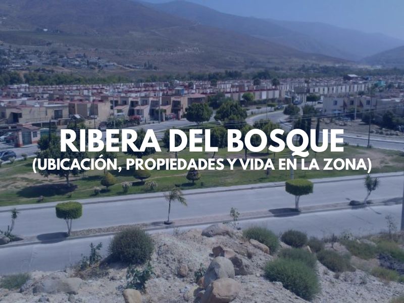 Ribera del Bosque