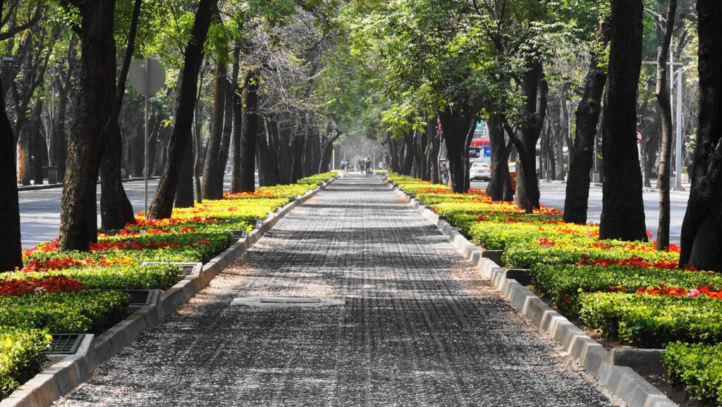 Coldwell Banker México presenta la movilidad y los servicios de la zona cercana a Polanco, con excelente conectividad y oferta urbana.