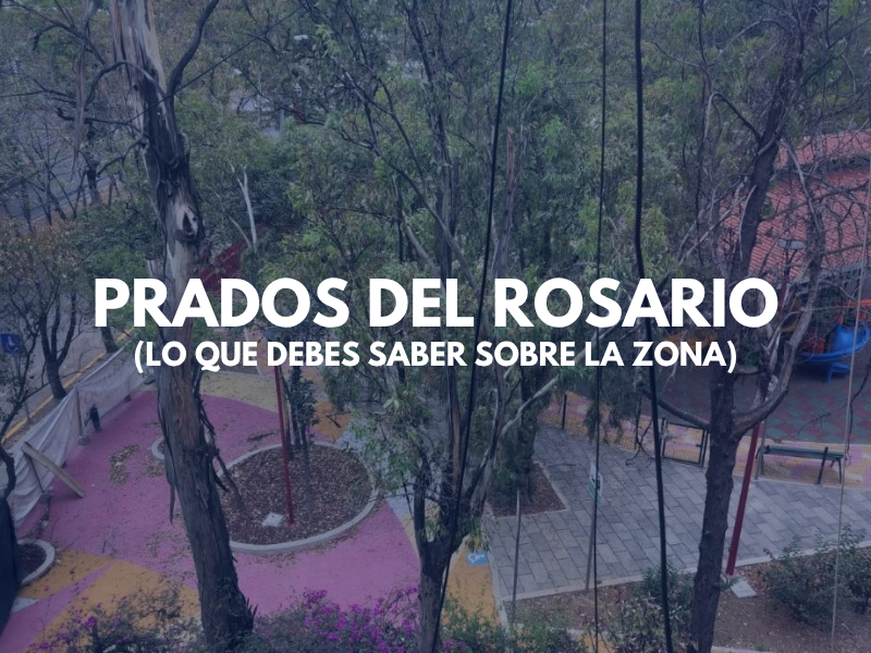 Prados Del Rosario_ lo que debes saber sobre la zona