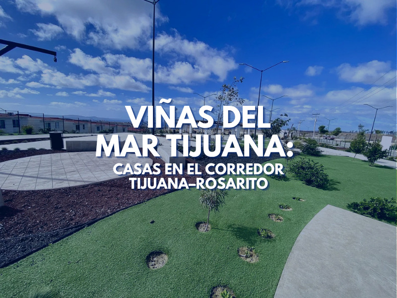 29 Viñas del Mar Tijuana comp