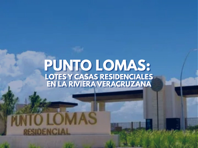 31 Punto Lomas comp
